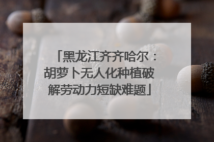 黑龙江齐齐哈尔：胡萝卜无人化种植破解劳动力短缺难题