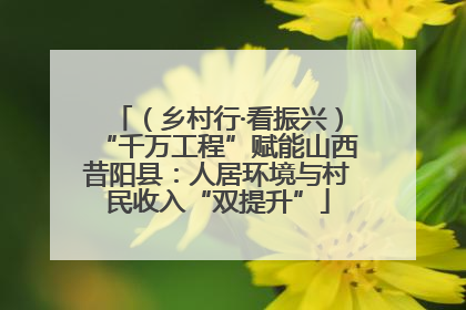 （乡村行·看振兴）“千万工程”赋能山西昔阳县：人居环境与村民收入“双提升”
