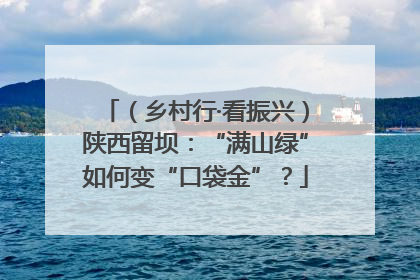 （乡村行·看振兴）陕西留坝：“满山绿”如何变“口袋金”？