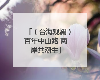 （台海观澜）百年中山路 两岸共潮生