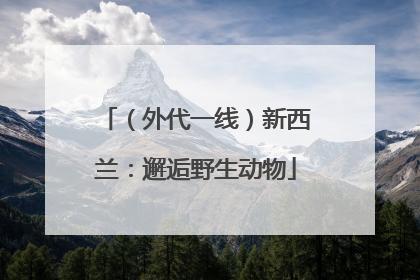 （外代一线）新西兰：邂逅野生动物
