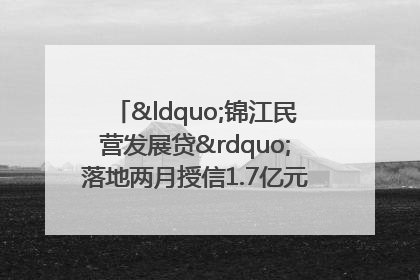 “锦江民营发展贷”落地两月授信1.7亿元，惠及118家民企