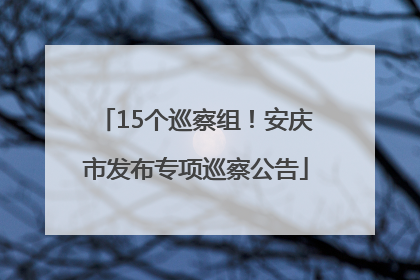 15个巡察组！安庆市发布专项巡察公告