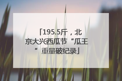 195.5斤，北京大兴西瓜节“瓜王”重量破纪录