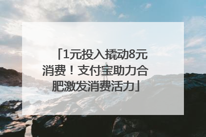 1元投入撬动8元消费！支付宝助力合肥激发消费活力