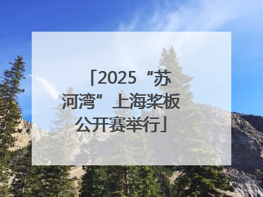 2025“苏河湾”上海桨板公开赛举行