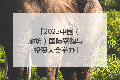 2025中国（廊坊）国际采购与投资大会举办