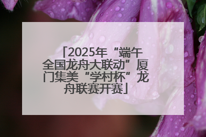 2025年“端午全国龙舟大联动”厦门集美“学村杯”龙舟联赛开赛