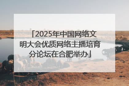 2025年中国网络文明大会优质网络主播培育分论坛在合肥举办