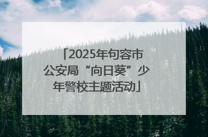 2025年句容市公安局“向日葵”少年警校主题活动