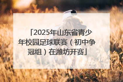 2025年山东省青少年校园足球联赛（初中争冠组）在潍坊开赛
