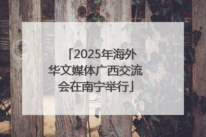 2025年海外华文媒体广西交流会在南宁举行