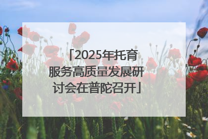 2025年托育服务高质量发展研讨会在普陀召开