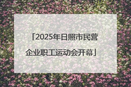 2025年日照市民营企业职工运动会开幕