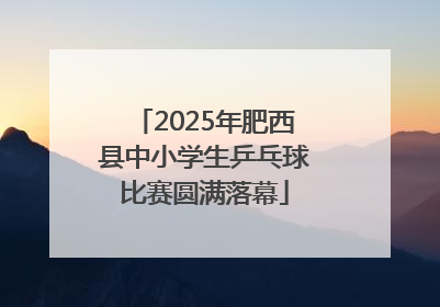 2025年肥西县中小学生乒乓球比赛圆满落幕