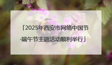 2025年西安市网络中国节·端午节主题活动顺利举行