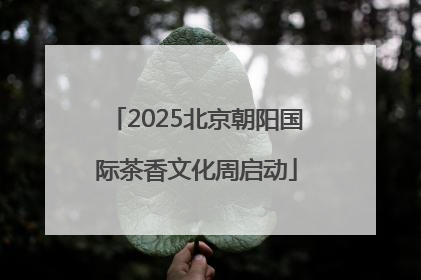 2025北京朝阳国际茶香文化周启动