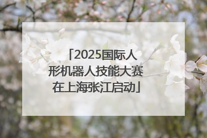2025国际人形机器人技能大赛在上海张江启动
