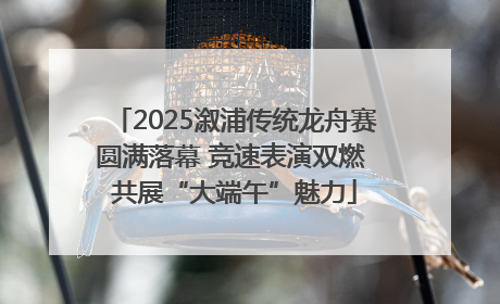2025溆浦传统龙舟赛圆满落幕 竞速表演双燃 共展“大端午”魅力