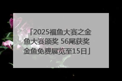 2025福鱼大赛之金鱼大赛颁奖 56尾获奖金鱼免费展览至15日