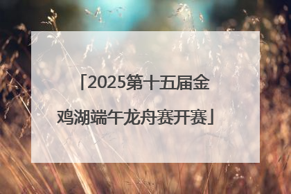 2025第十五届金鸡湖端午龙舟赛开赛