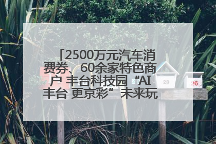 2500万元汽车消费券、60余家特色商户 丰台科技园“AI丰台 更京彩”未来玩家市集活动正式开幕