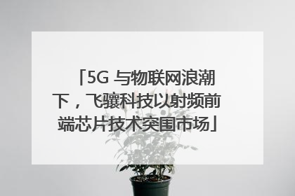 5G 与物联网浪潮下，飞骧科技以射频前端芯片技术突围市场