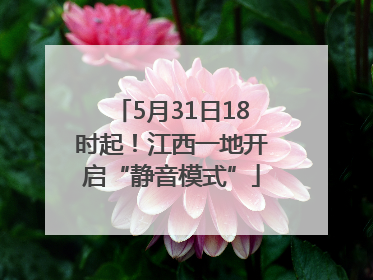 5月31日18时起！江西一地开启“静音模式”
