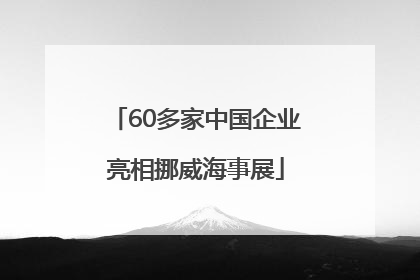 60多家中国企业亮相挪威海事展