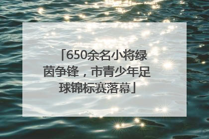650余名小将绿茵争锋，市青少年足球锦标赛落幕