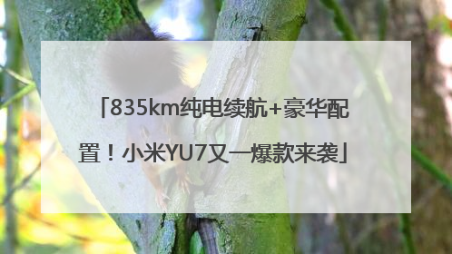 835km纯电续航+豪华配置！小米YU7又一爆款来袭