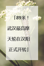 89米！武汉最高摩天轮在汉阳正式开转