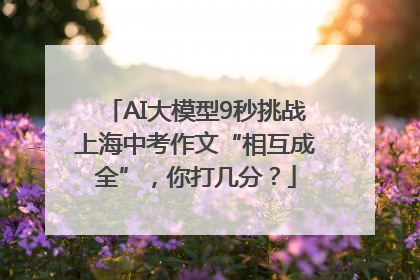 AI大模型9秒挑战上海中考作文“相互成全”，你打几分？