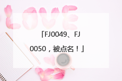 FJ0049、FJ0050，被点名！